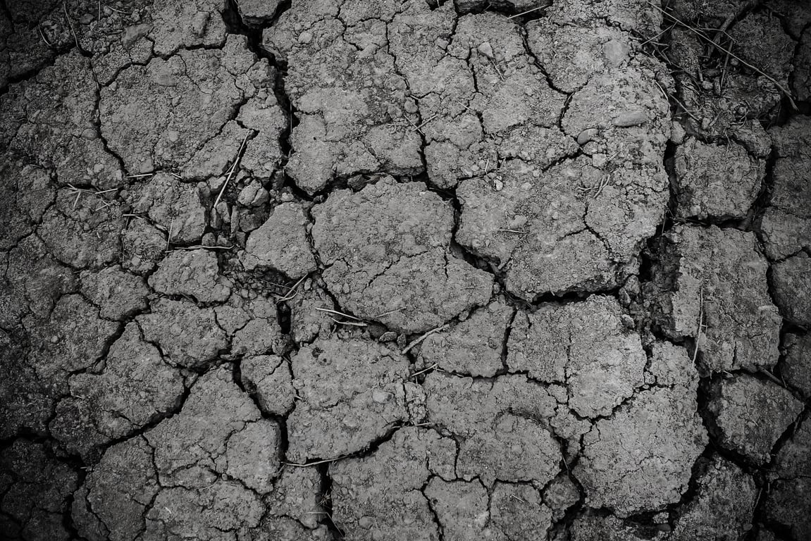 Home Foundation Repair: Spot Warning Signs Early and Plan the Right Fix